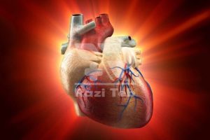 تاثیر هضم بر فشار خون